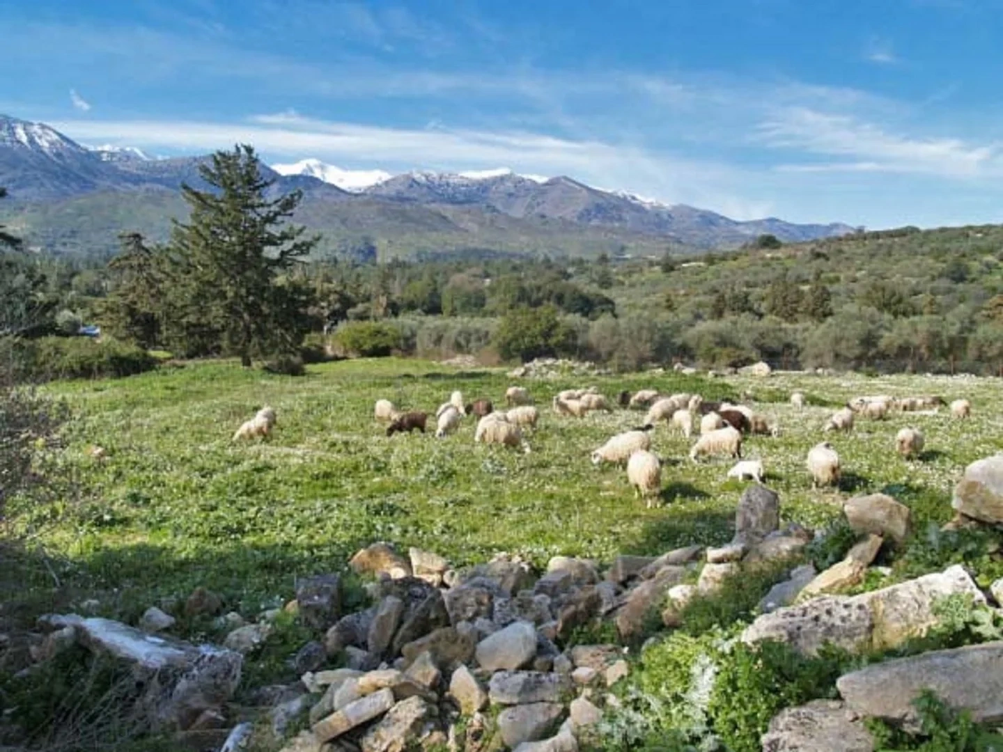 1 - vente terrain nípos crète grèce