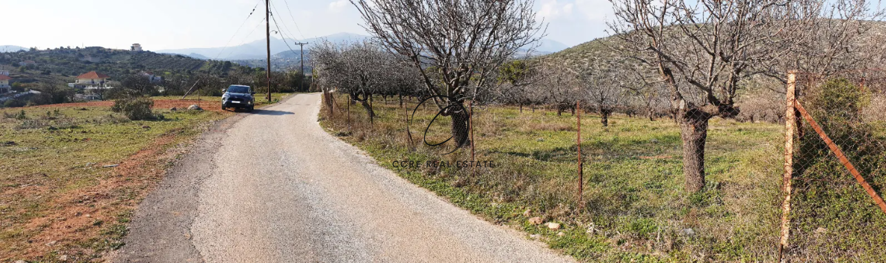 2 - vente terrain koropi attique grèce
