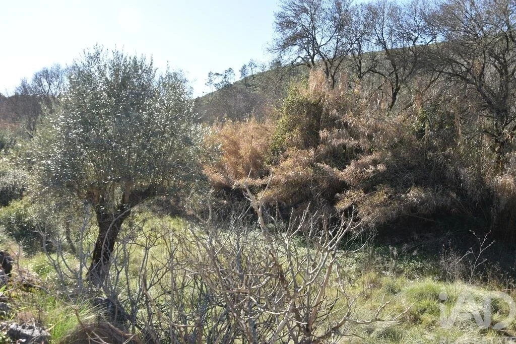 1 - venta terreno ourém región centro portugal
