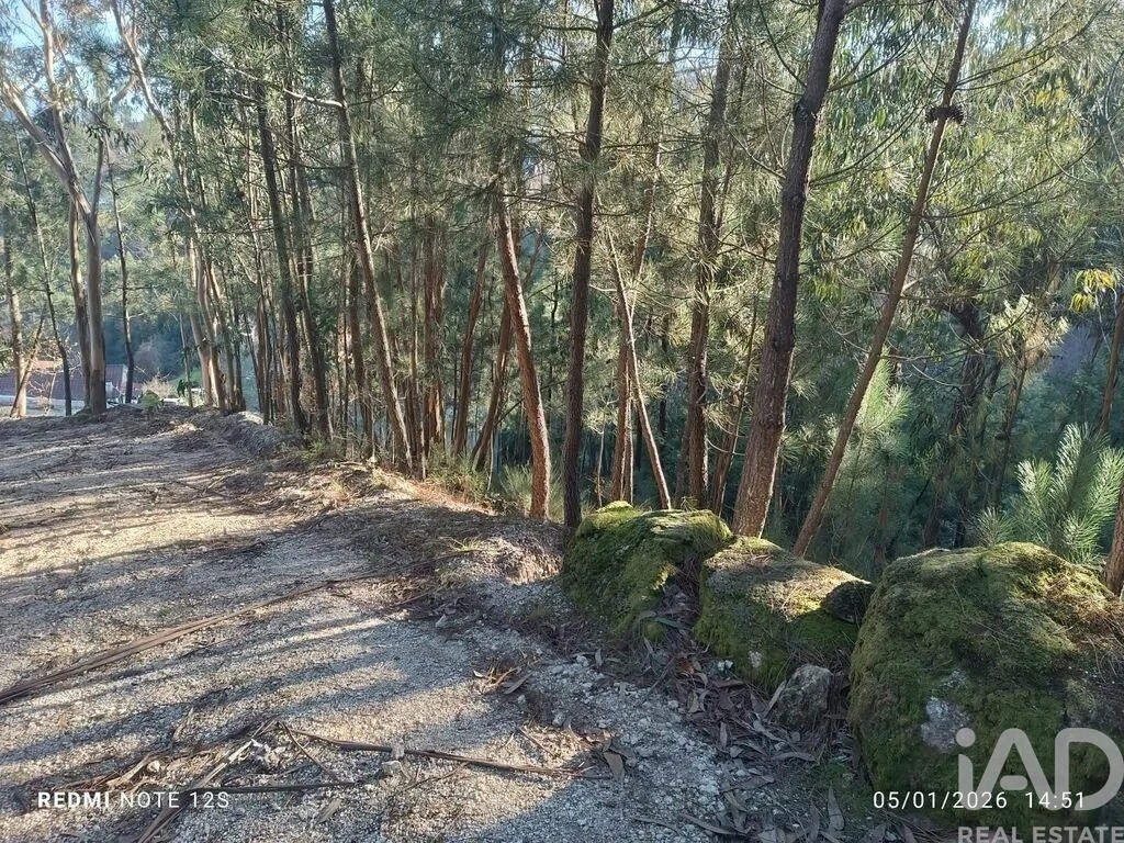 1 - vente terrain marco de canaveses région nord portugal