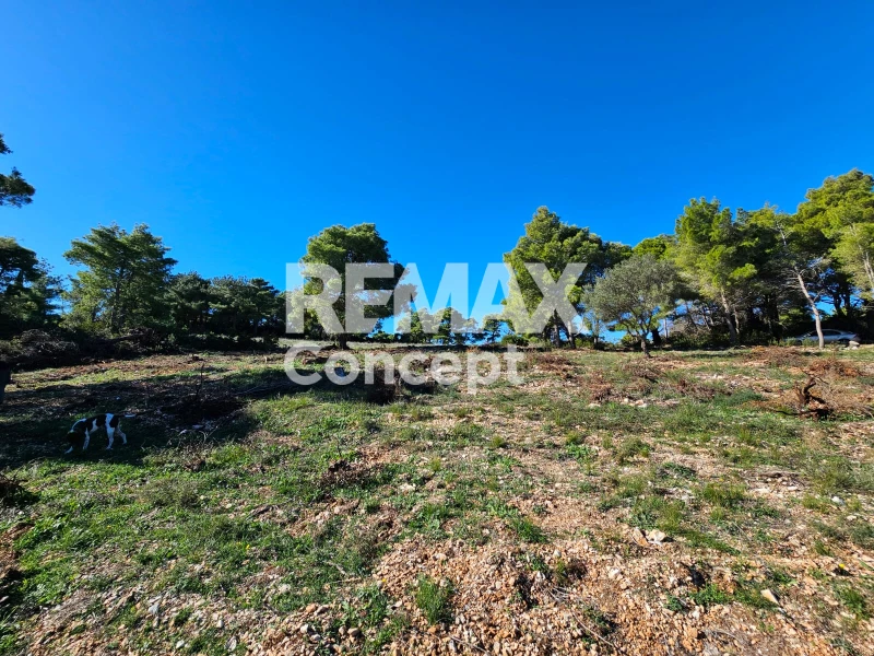 1 - vente terrain zante îles ioniennes grèce