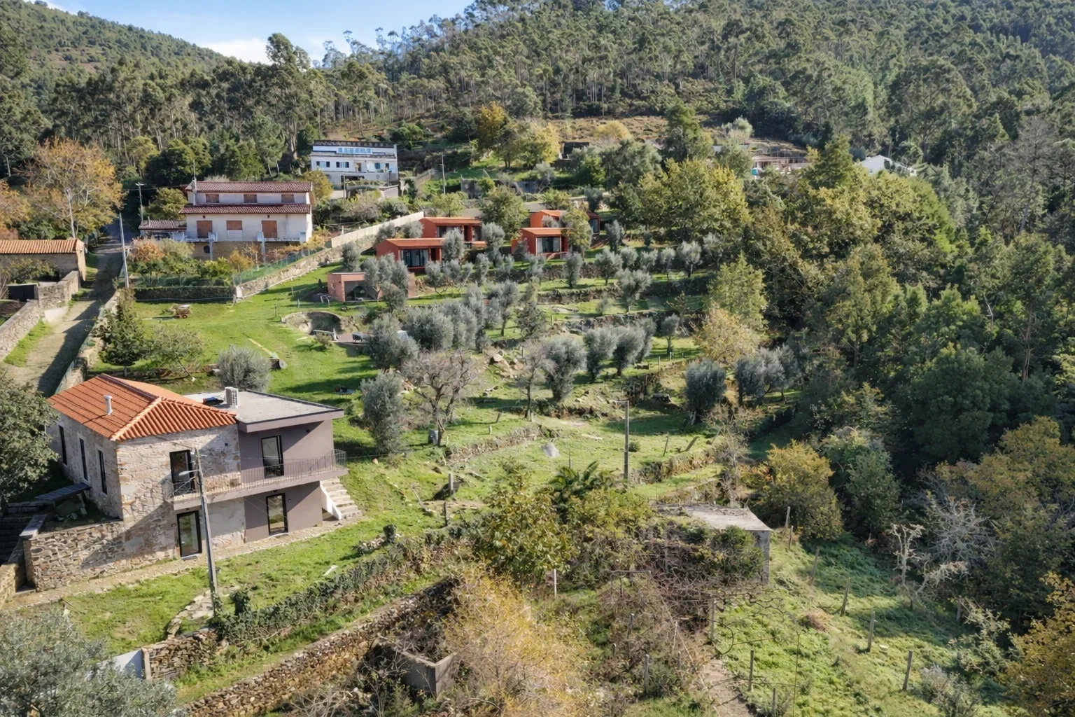 1 - house for sale in argela north region portugal