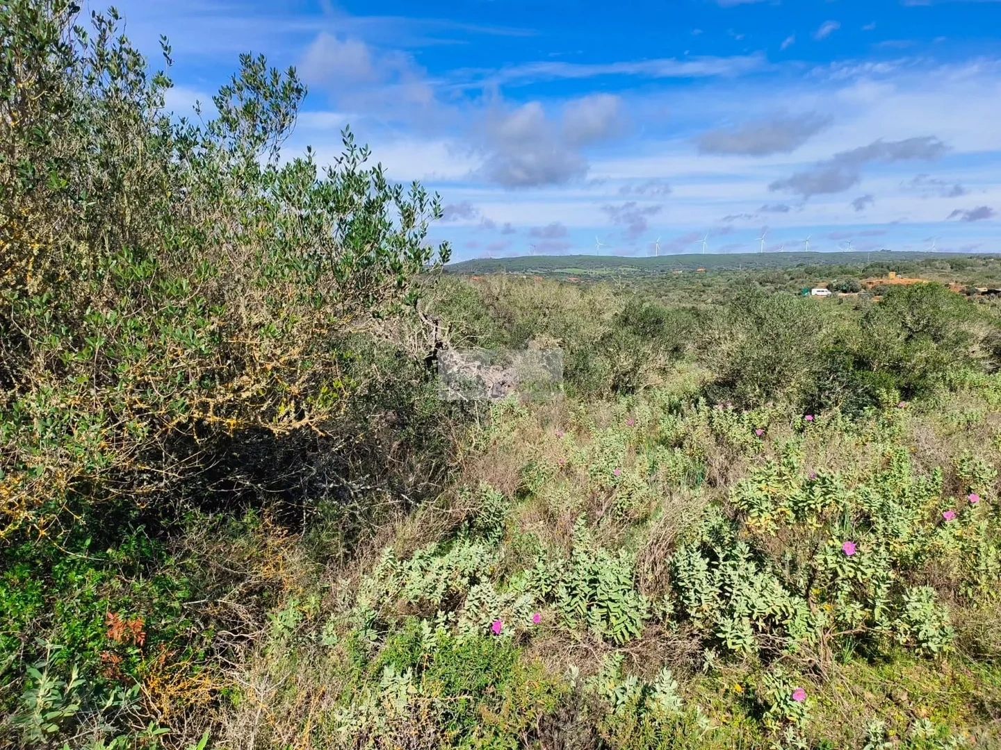 1 - venta terreno lagos algarve portugal