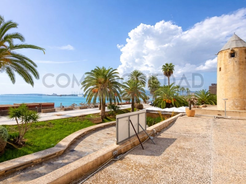 1 - venta comercio palma de mallorca mallorca - islas baleares españa