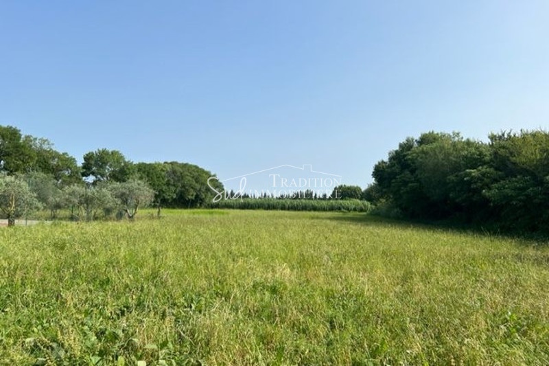 1 - plot of land for sale in saint-martin-de-crau bouches-du-rhône france
