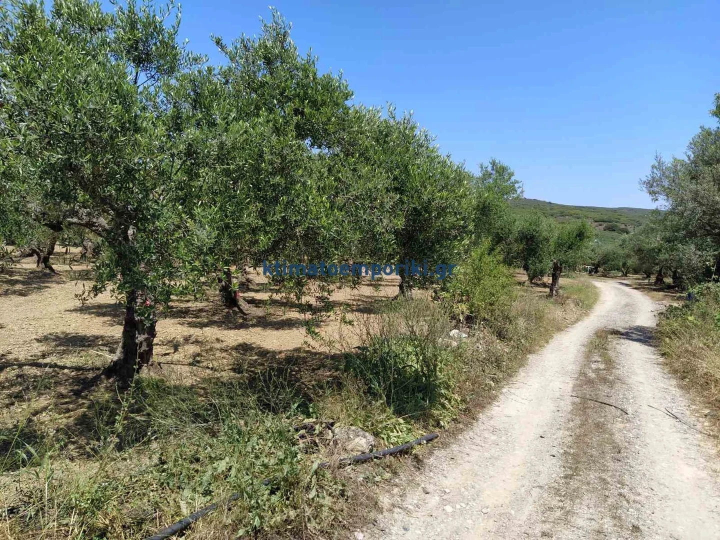 1 - venda terreno kolymbári creta grécia
