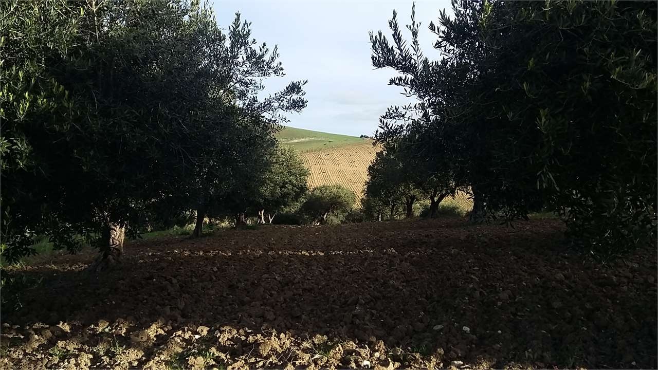 2 - vente terrain erice sicile italie