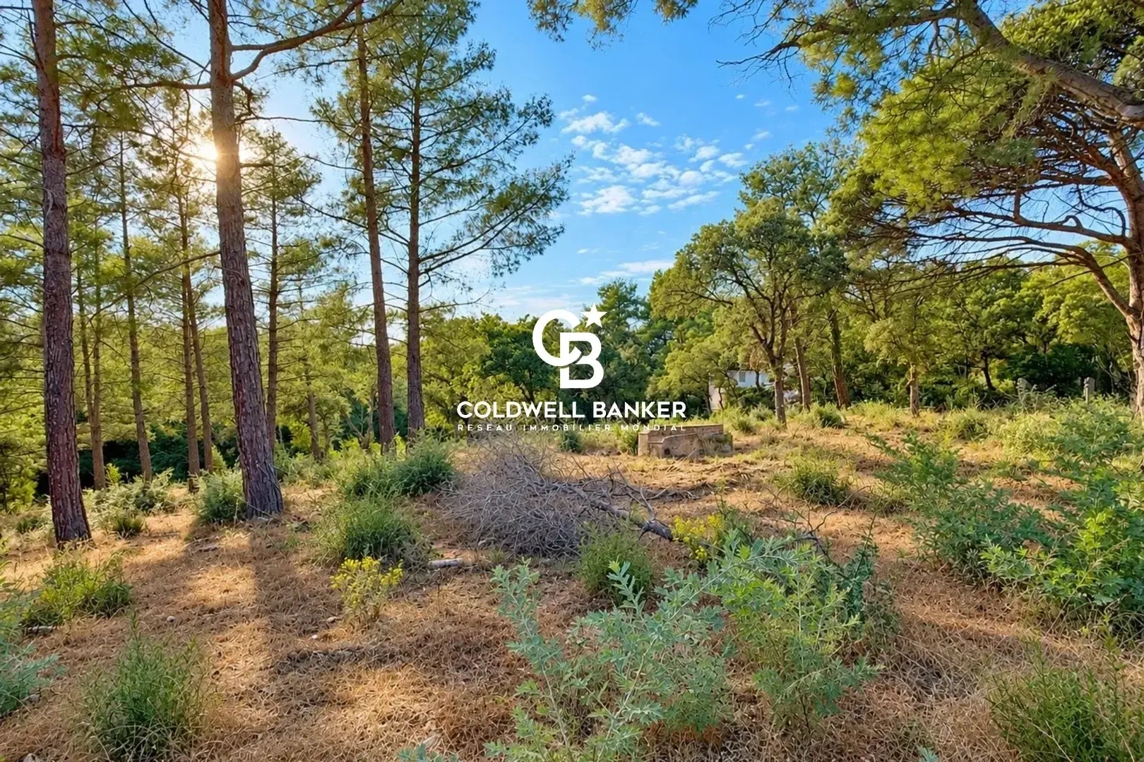 1 - plot of land for sale in grimaud var france