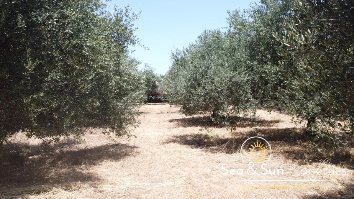 2 - venta terreno vista al mar platanias creta grecia
