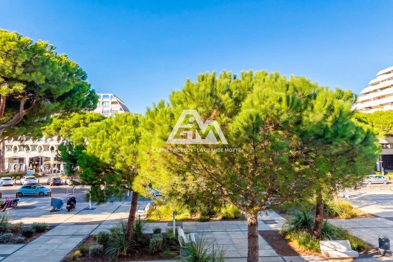 2 - apartment for sale in la grande-motte hérault france