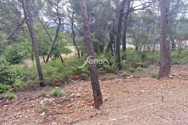 1 - plot of land for sale in salernes var france