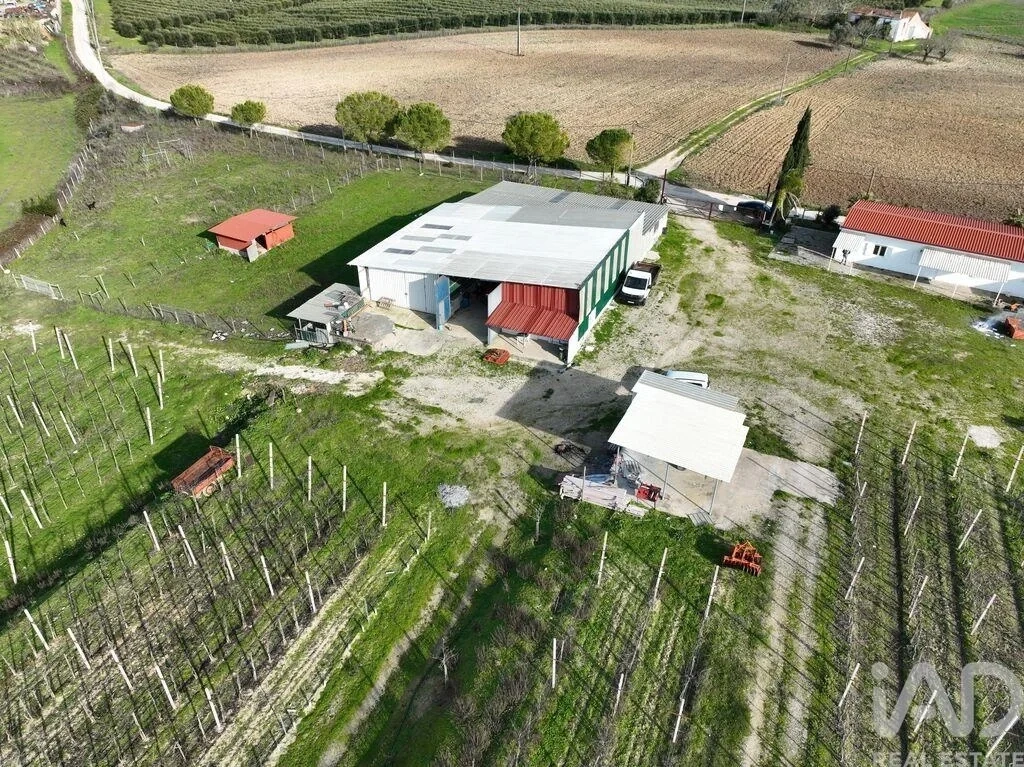 1 - vente propriété santarém alentejo portugal