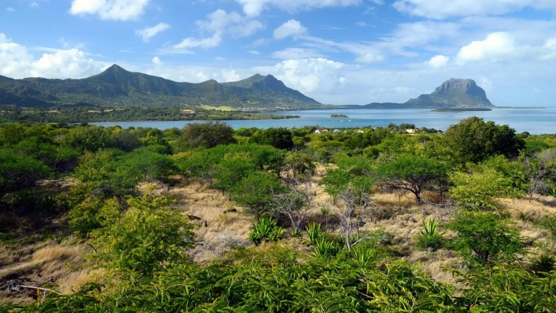 1 - plot of land for sale in black river rivière noire mauritius
