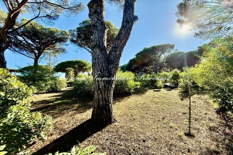 2 - продажа территория sainte-maxime вар франция