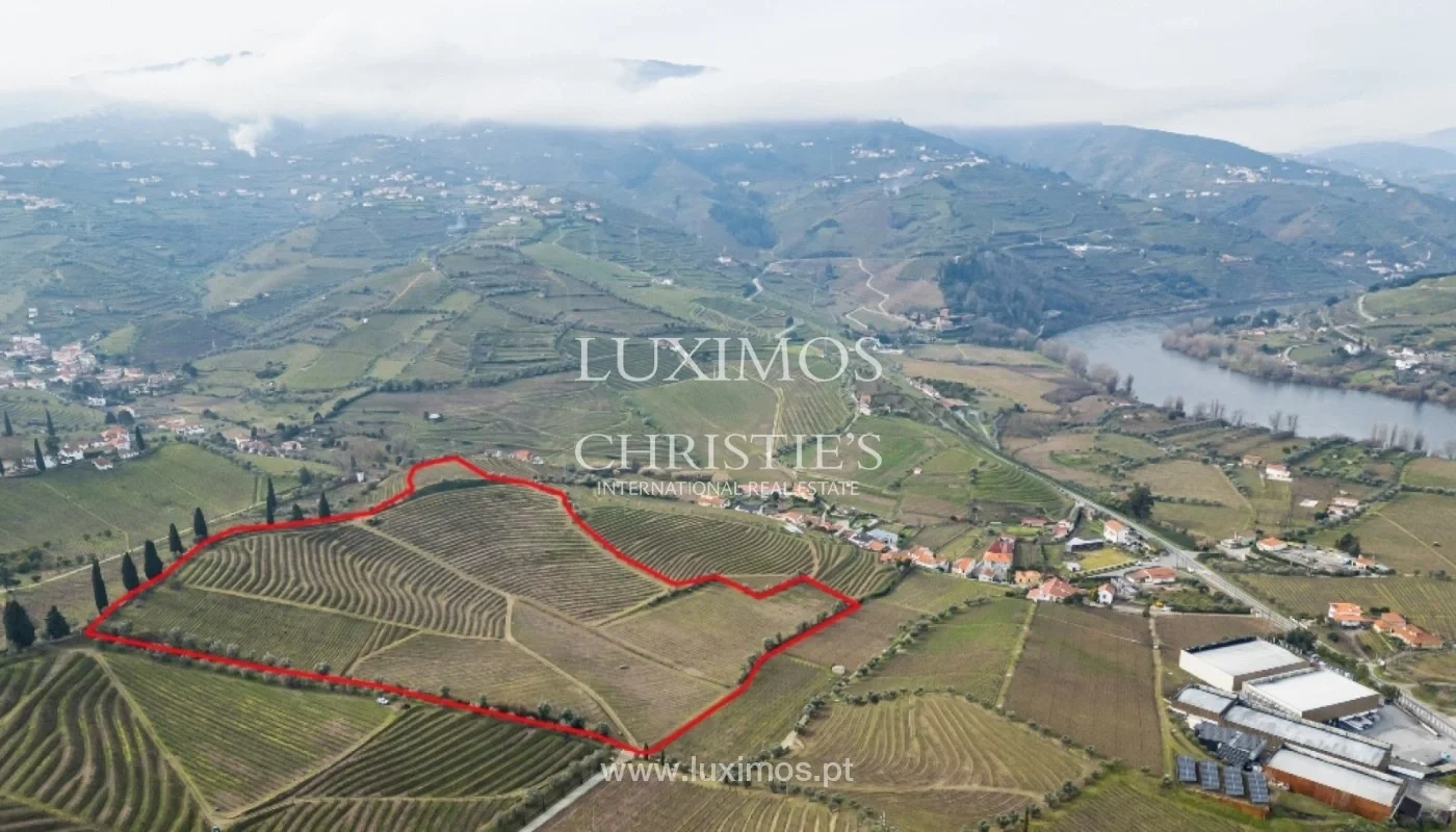 1 - vente propriété lamego région nord portugal
