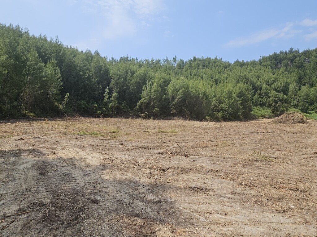 1 - waterfront plot of land for sale in polychrono central macedonia greece