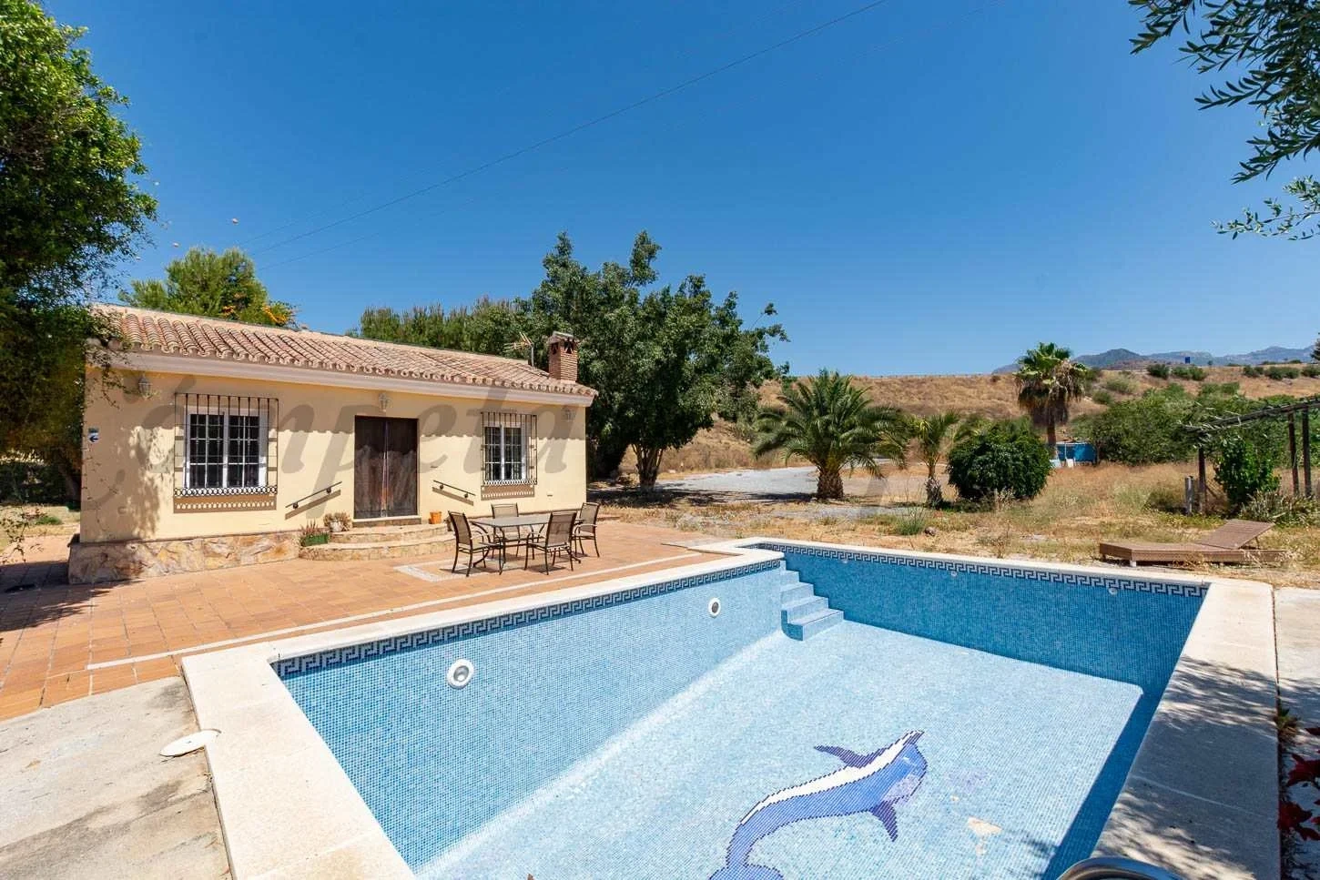 Haus mit Pool