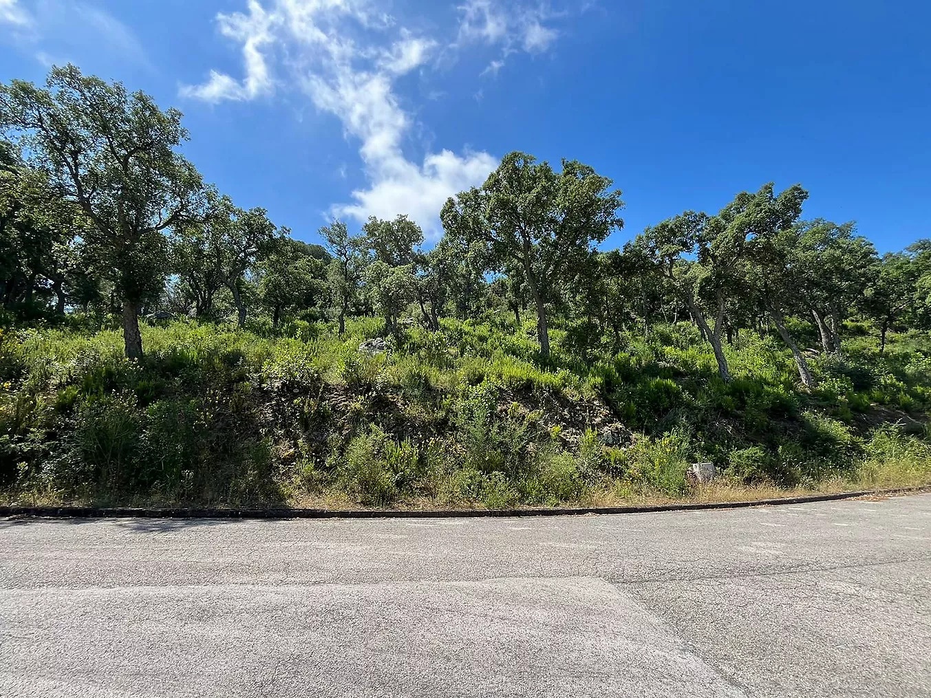 Terreno de 4 005 m²