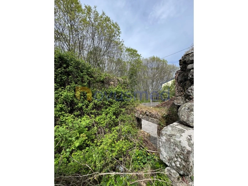 2 - house for sale in tondela centro region portugal