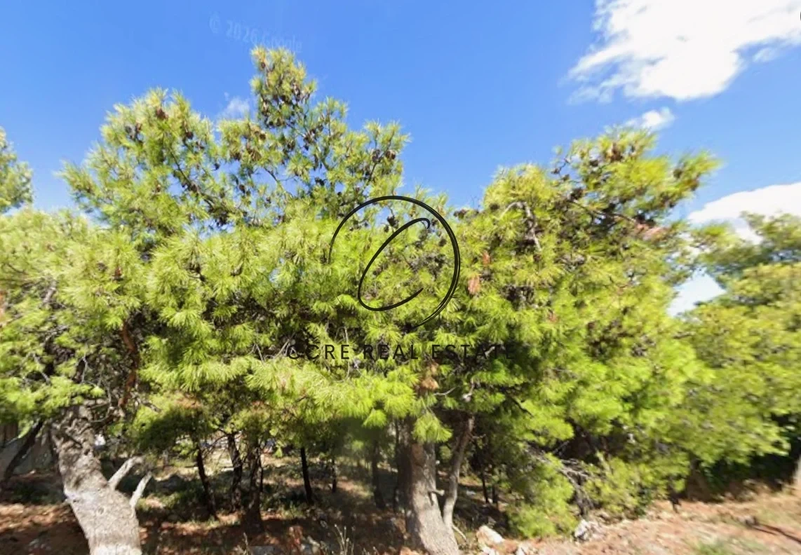1 - vente terrain ekali attique grèce