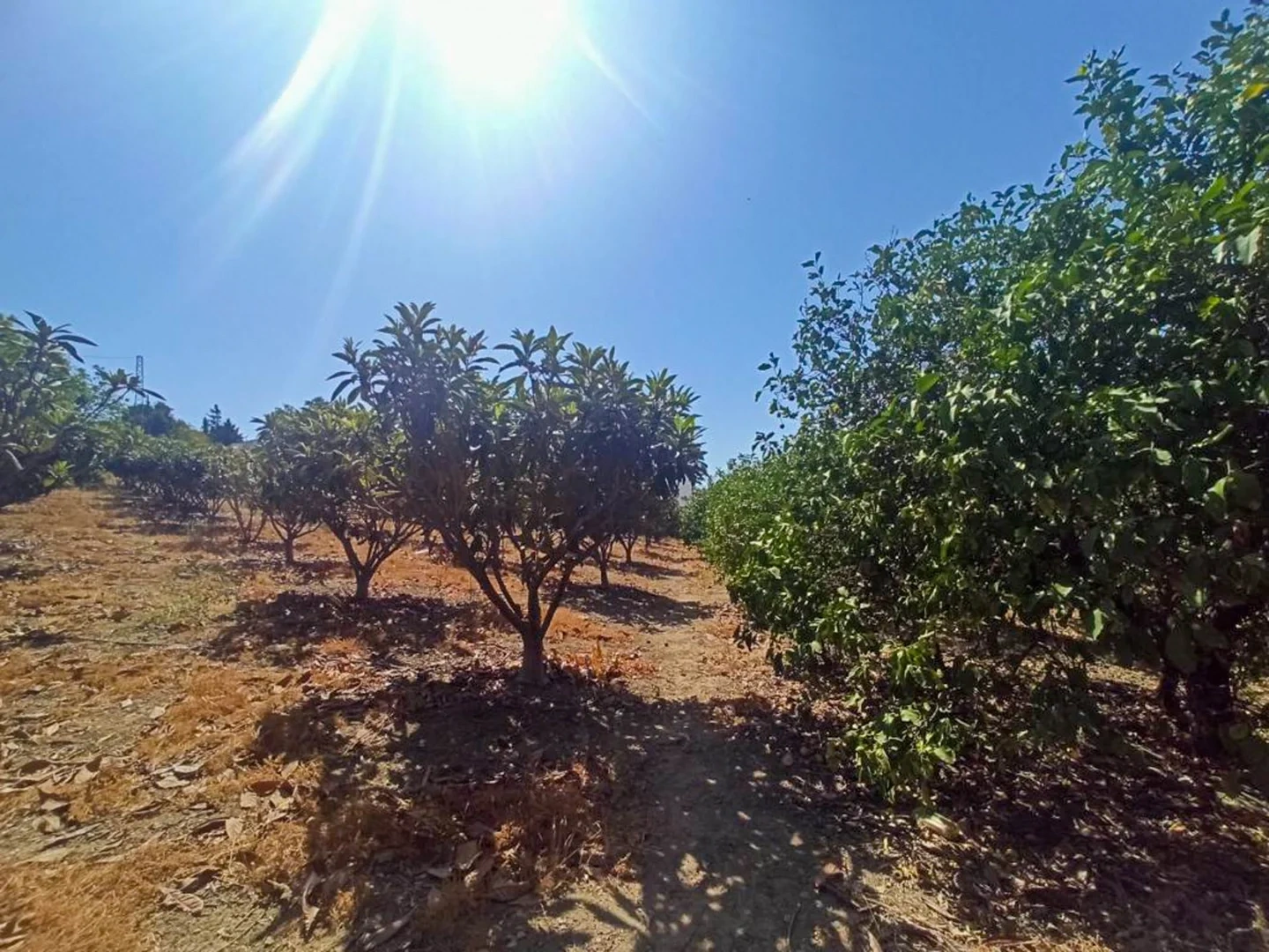 2 - vente propriété estepona - costa del sol andalousie espagne