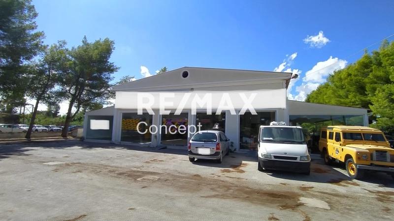 1 - vendita stabile zante isole ioniche grecia