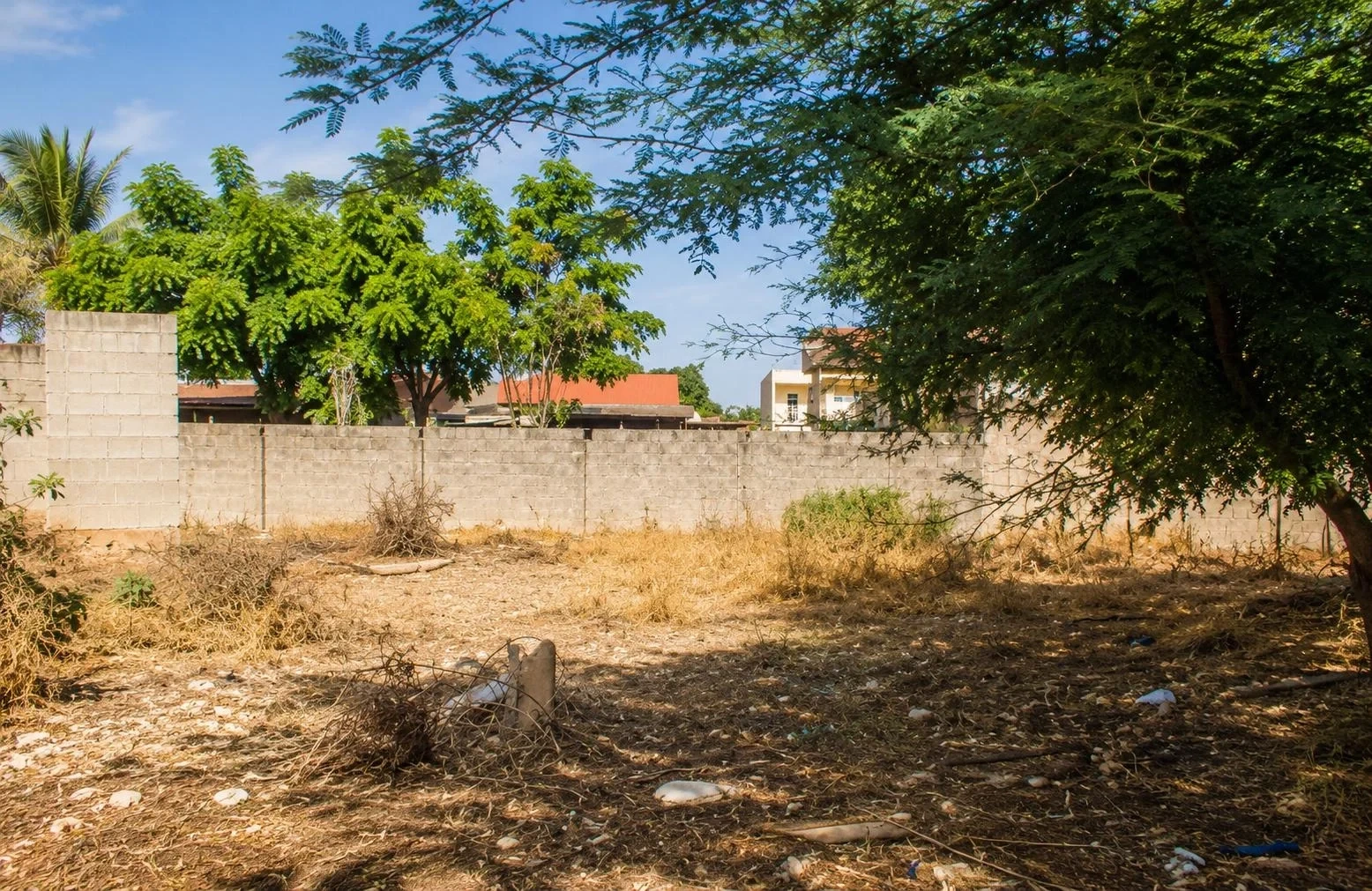 2 - vente terrain ngaparou thiès sénégal