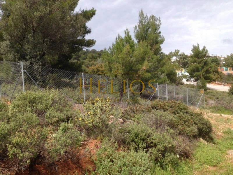 2 - vendita terreno glika nera attica grecia