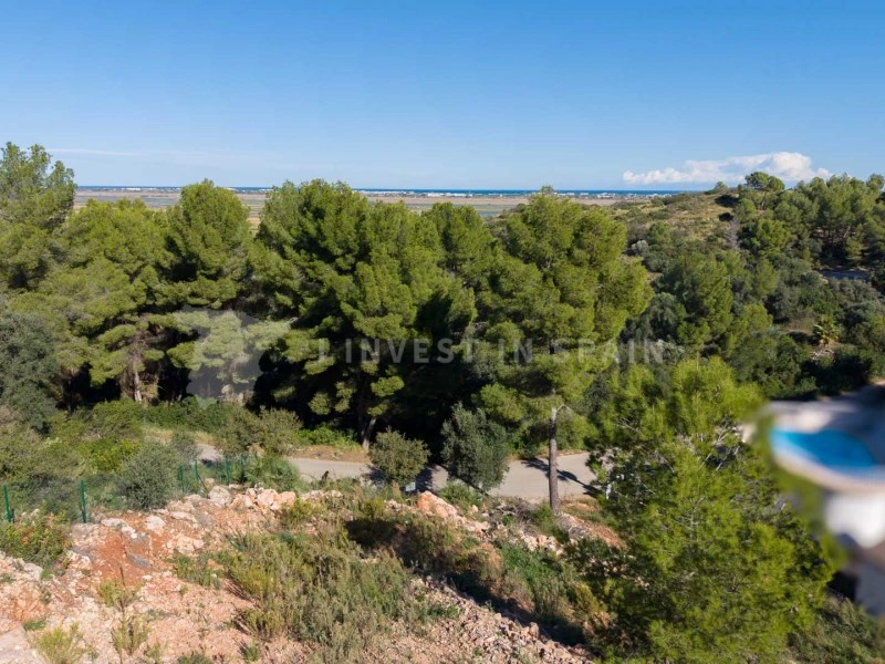 Terreno de 1 215 m²