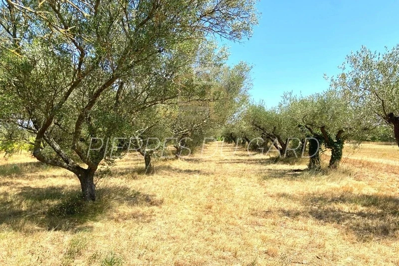 1 - verkoop terrein castillon-du-gard gard frankrijk