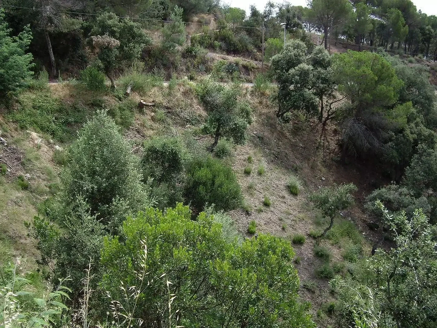2 - venda terreno calonge catalunha espanha