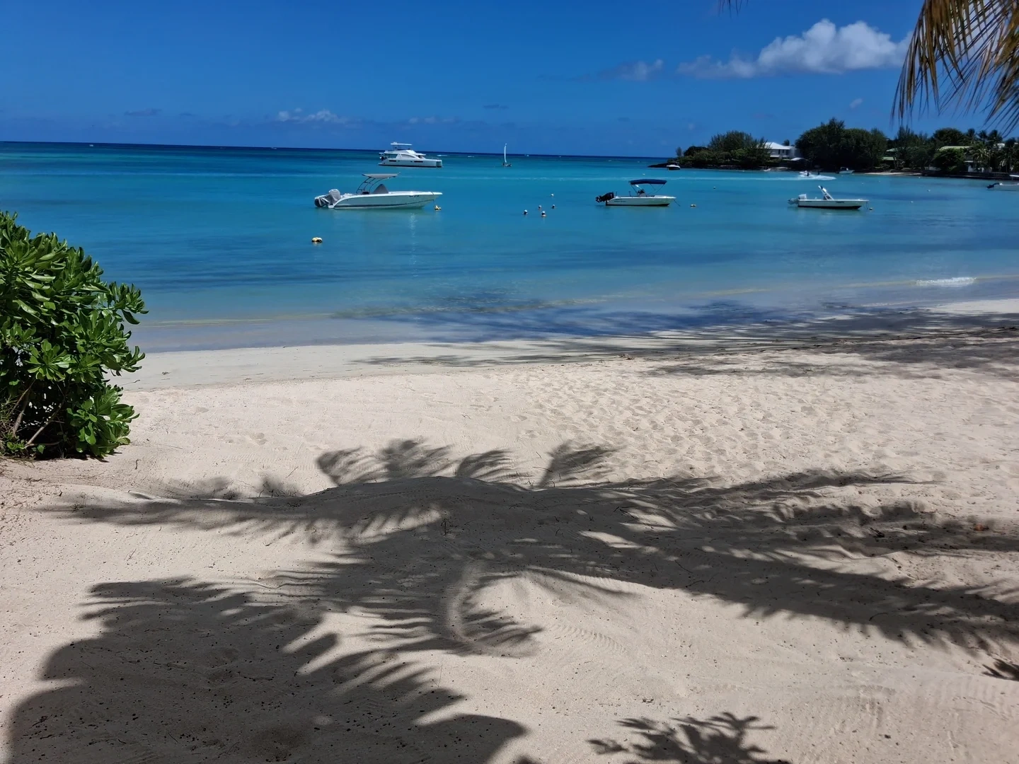 1 - waterfront house for sale in grand baie rivière du rempart mauritius