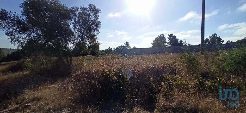1 - venta terreno coruche alentejo portugal