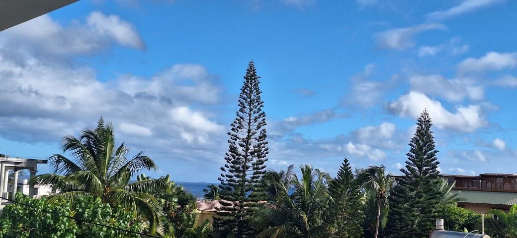1 - vente appartement vue mer tamarin rivière noire île maurice