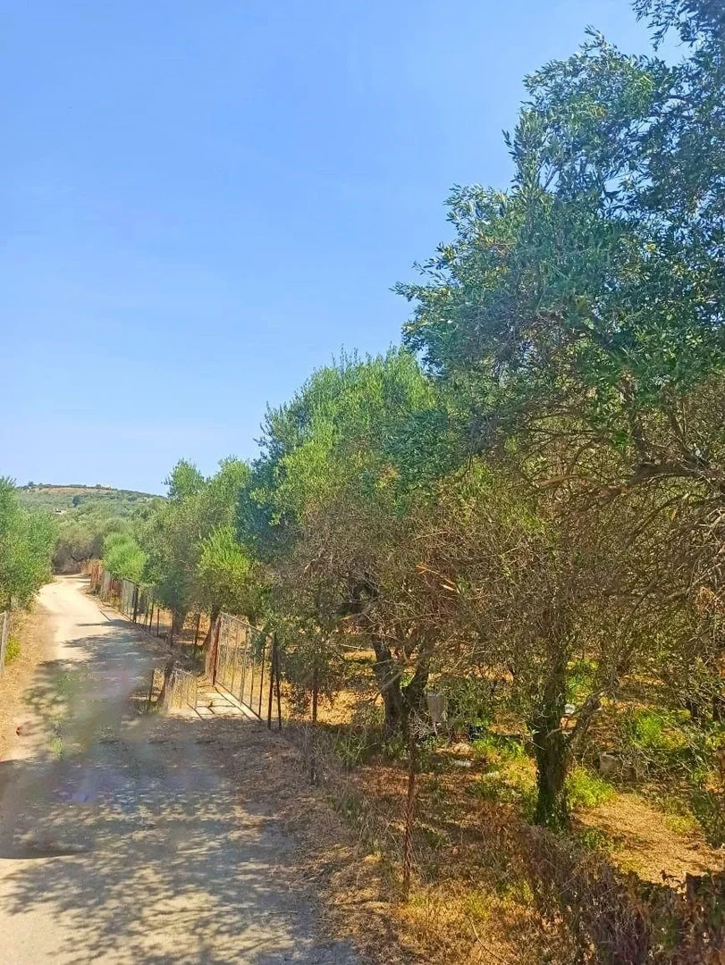 2 - vente terrain perivólia crète grèce