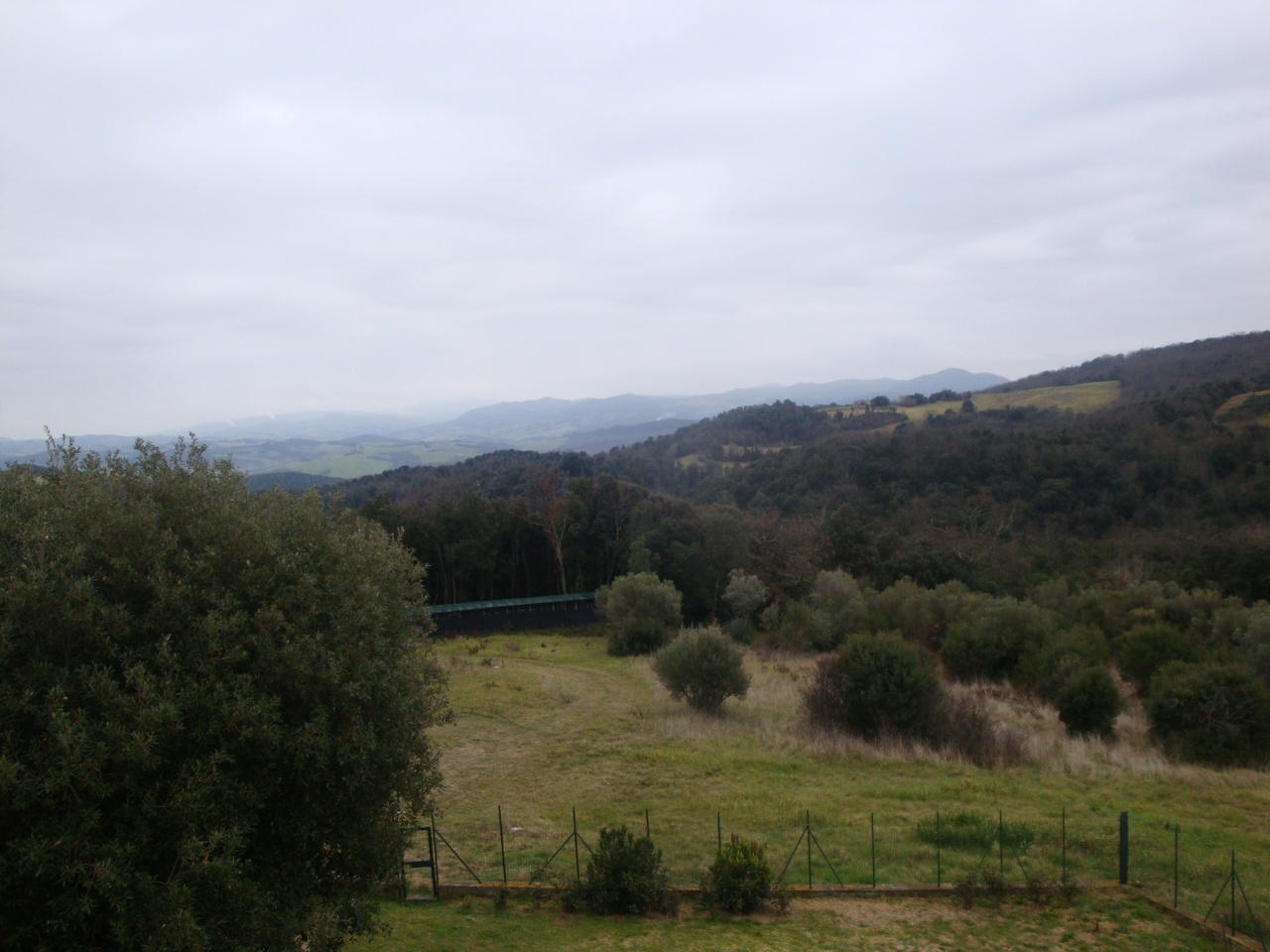 1 - plot of land for sale in riparbella tuscany italy