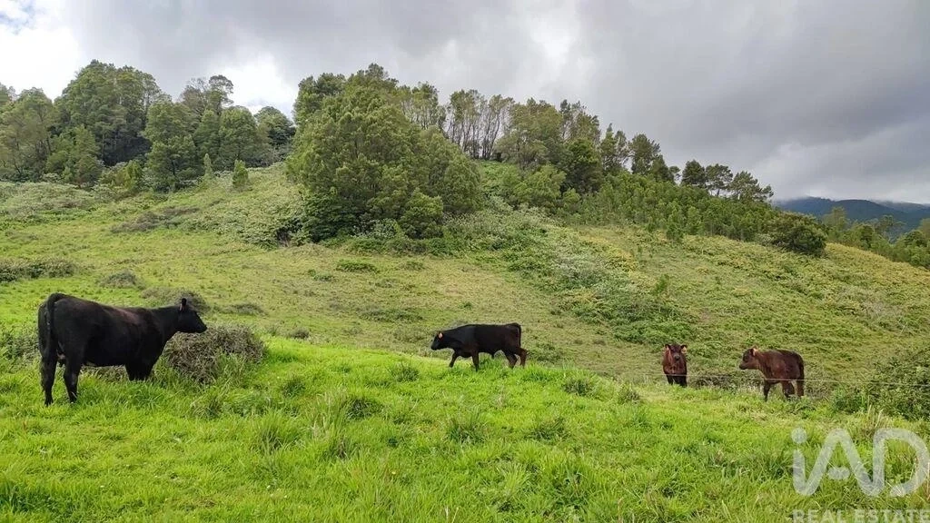 2 - venta terreno povoação las azores portugal