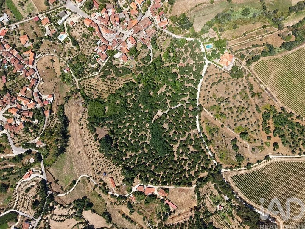 1 - venda terreno carregal do sal região do centro portugal