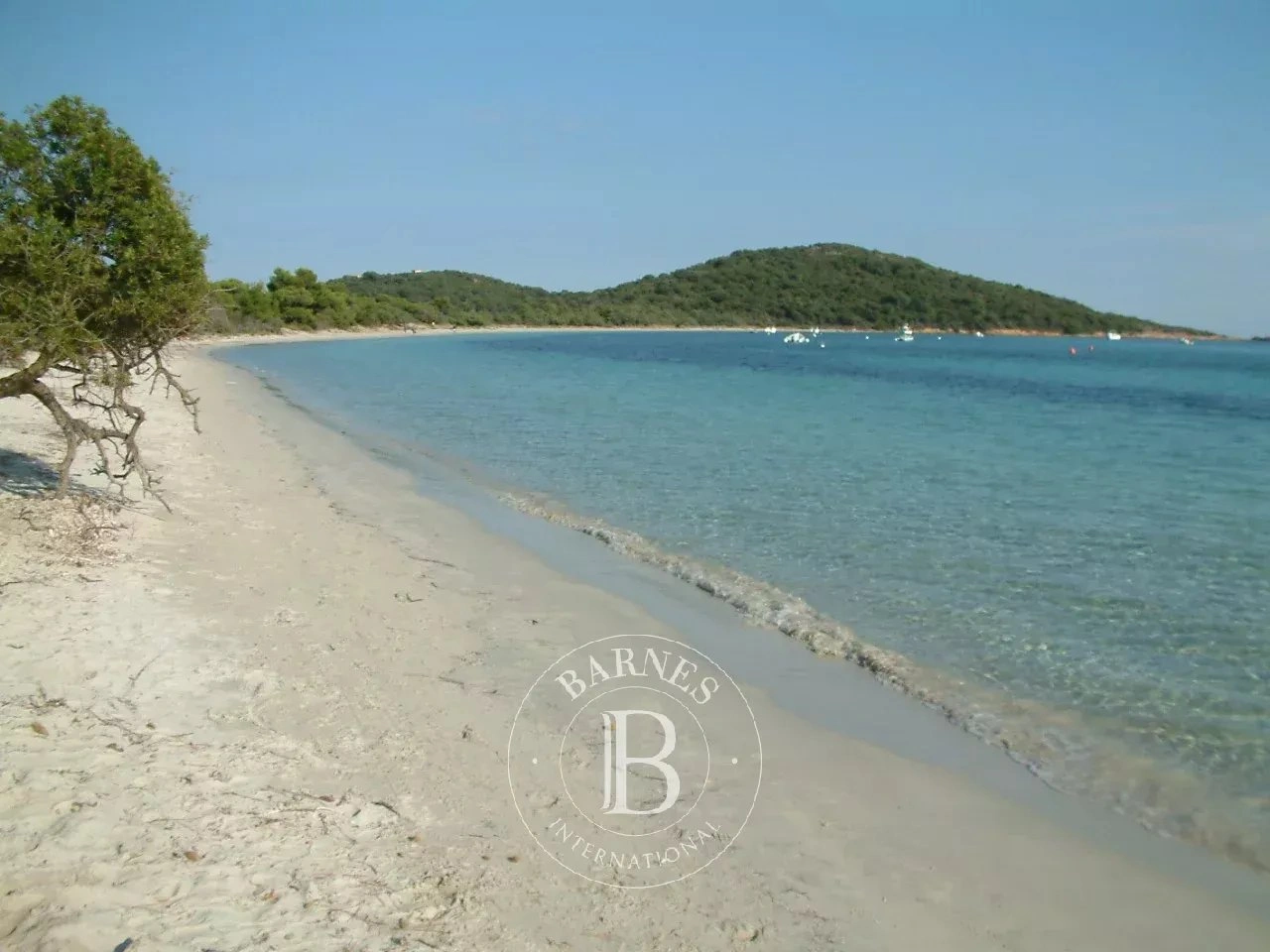 2 - продажа территория пляж пешком sainte-lucie-de-porto-vecchio корсика дю сюд франция