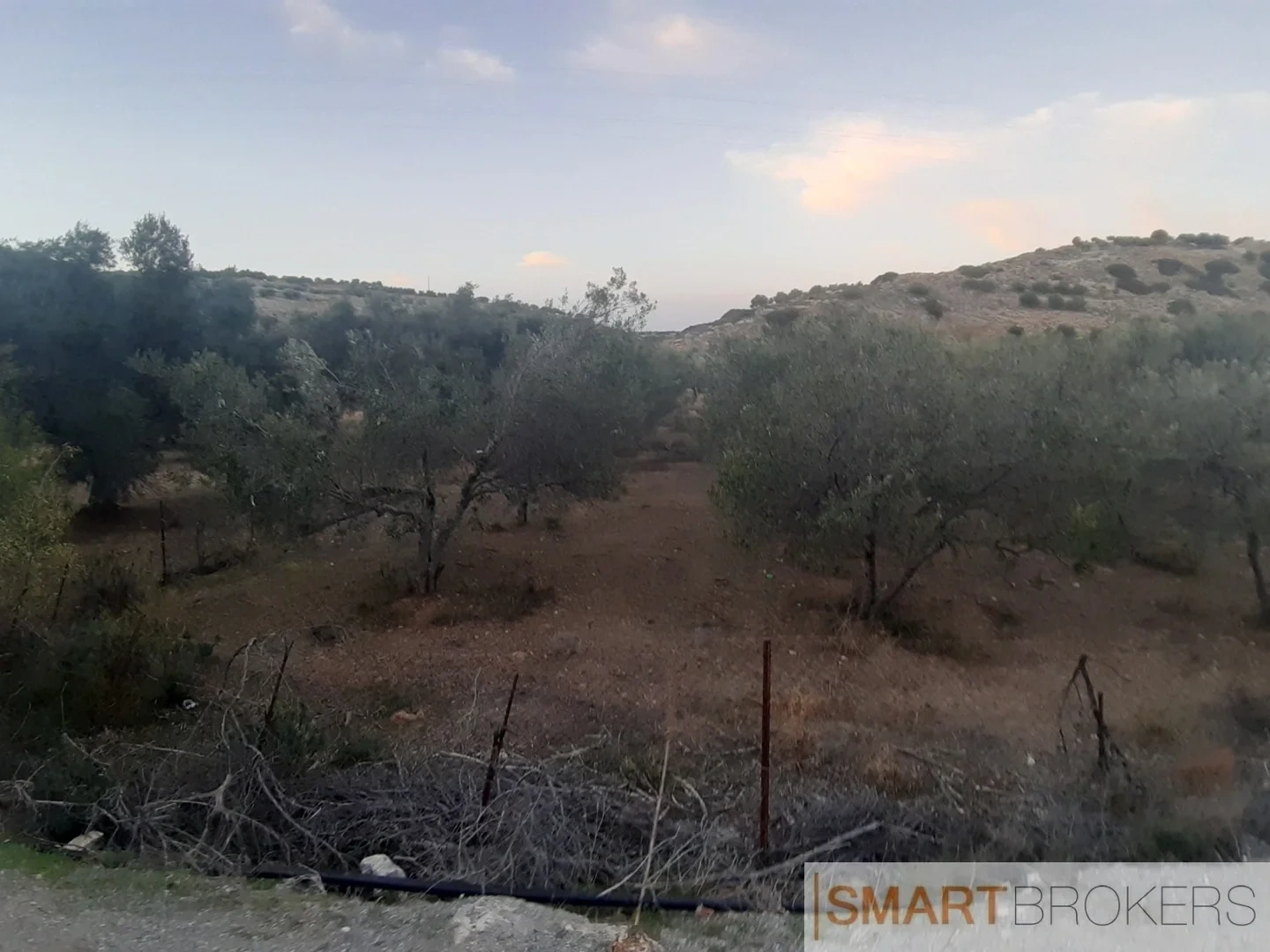 1 - plot of land for sale in elia crete greece