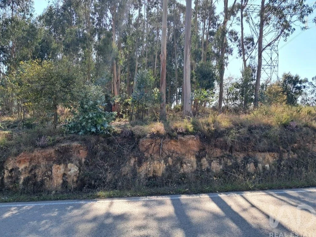 1 - venda terreno leiria região do centro portugal