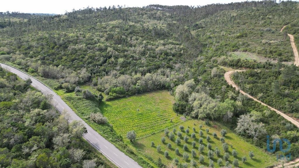 2 - vente terrain podentes région centre portugal
