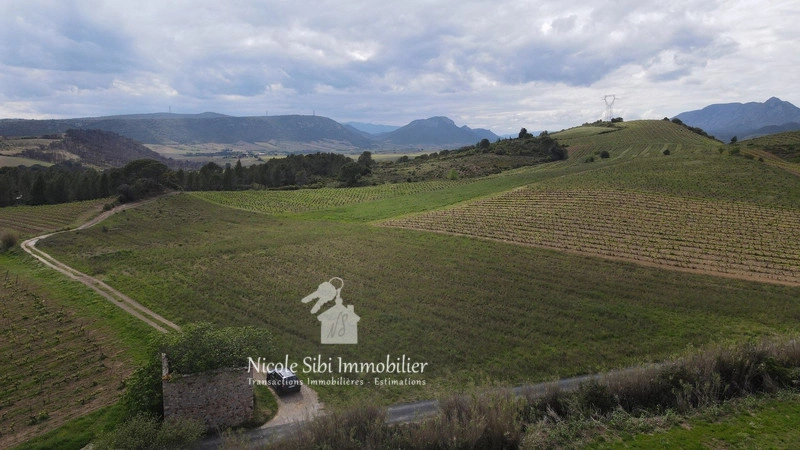 2 - verkoop terrein tautavel pyrénées-orientales frankrijk