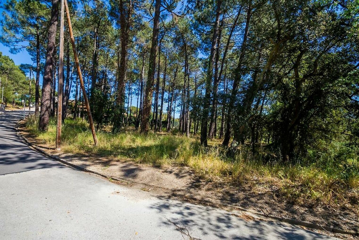 2 - vente terrain santa cristina d'aro catalogne espagne