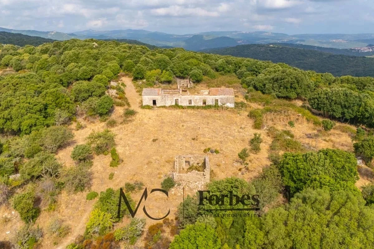 1 - venta terreno luogosanto cerdeña italia