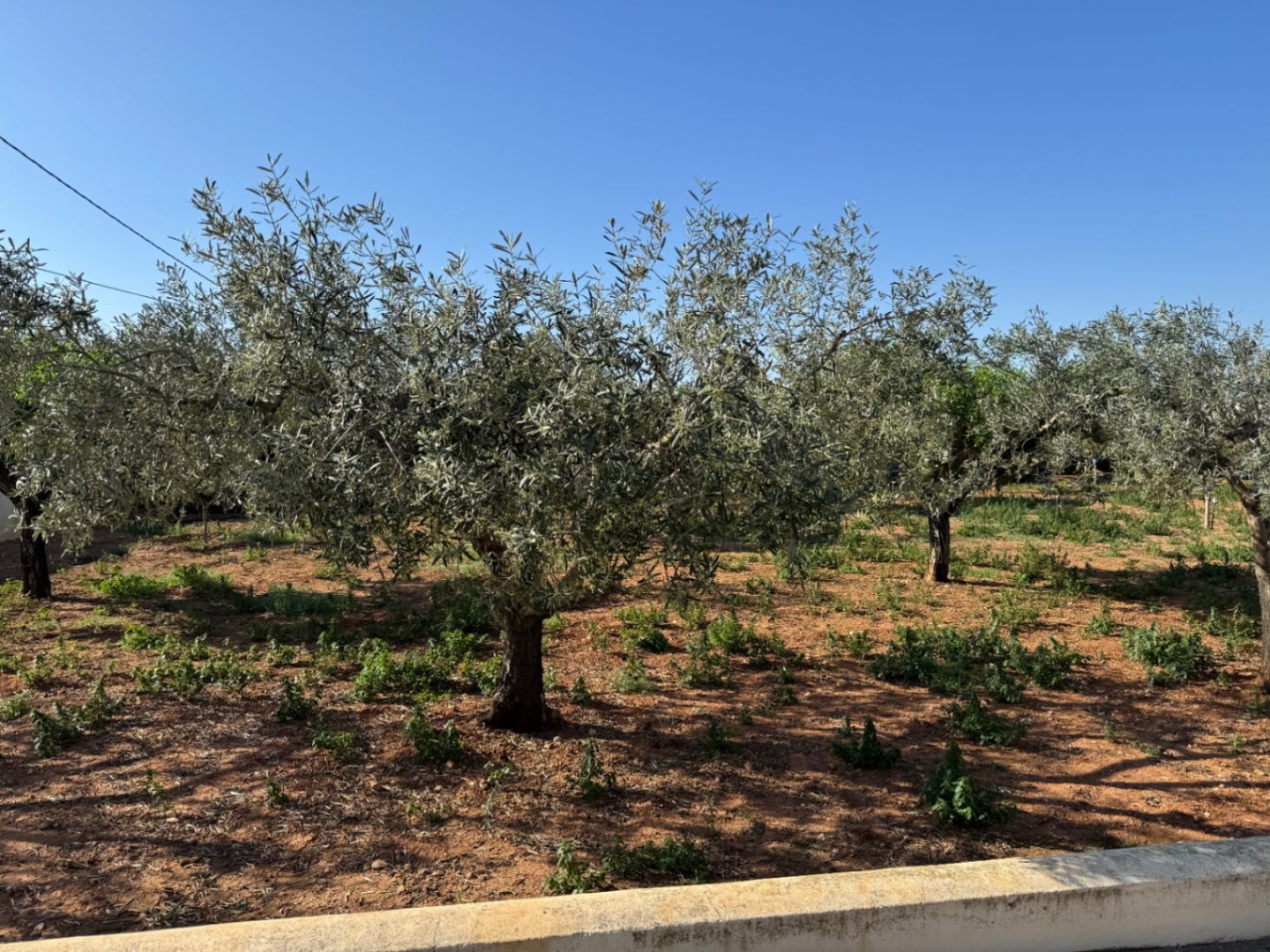 2 - venda propriedade benissa - costa blanca comunidade valenciana espanha