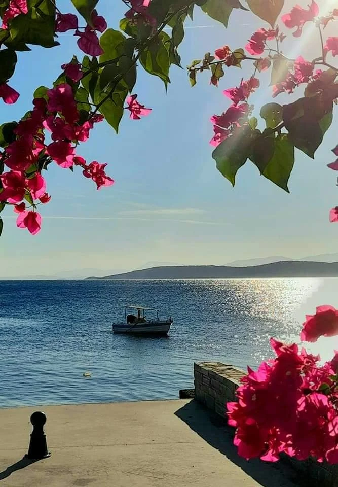 2 - vente appartement vue mer néa stíra grèce centrale grèce