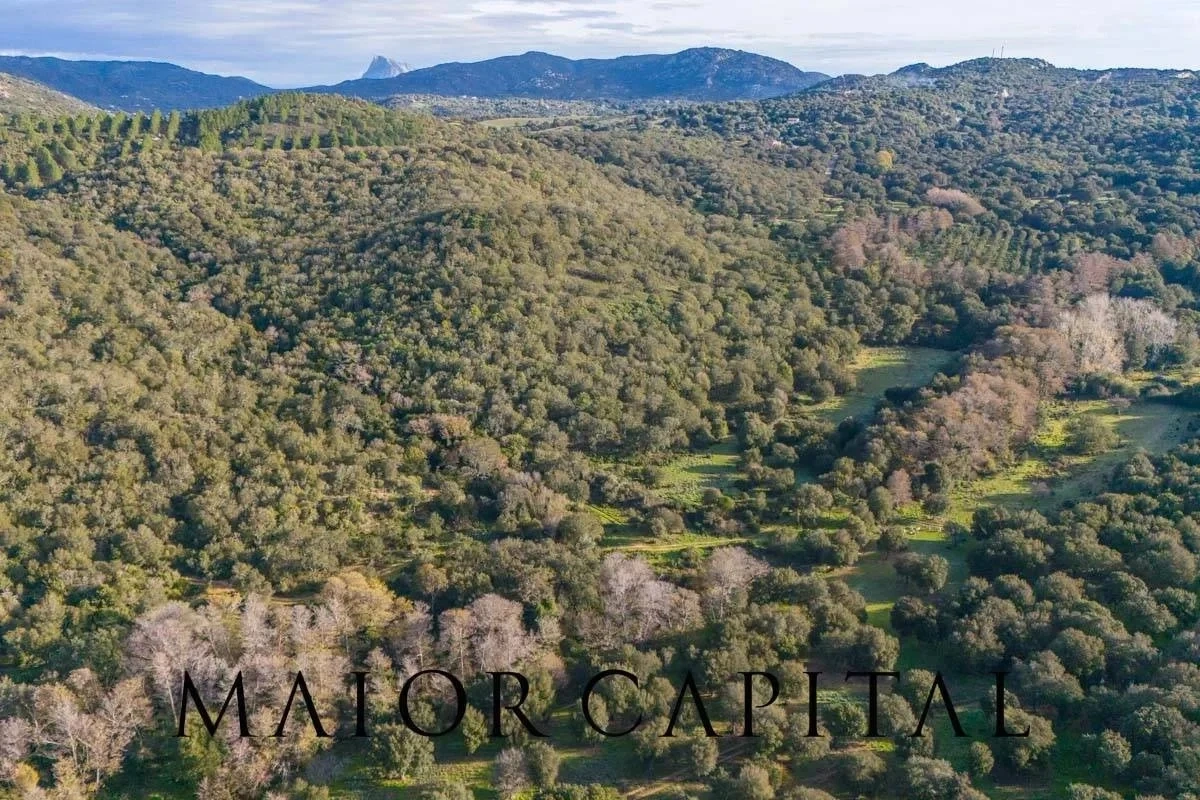 2 - vente terrain padru sardaigne italie