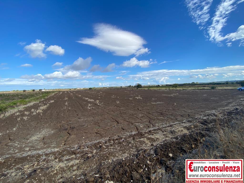 2 - plot of land for sale in taviano apulia italy