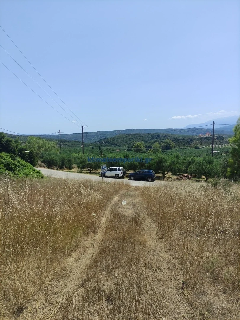 2 - vente terrain spiliá crète grèce